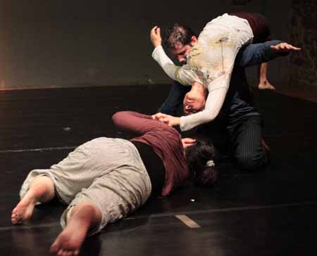 Μεταπτυχιακή Διατριβή  2009  Τέτη Νικολοπούλου