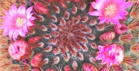 Free, Stretching,Ιουλίου , Oμάδα ,Xορού, Φυσαλίδα, Κρήτη