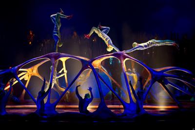 Το Cirque du Soleil στο σφυρί