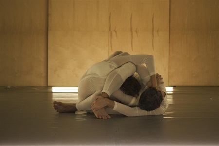 7o Φεστιβάλ Νέων Χορογράφων στη Στέγη