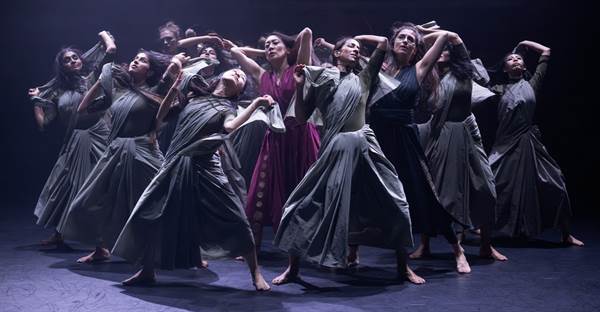 AKC Thikra c. Camilla Greenwell