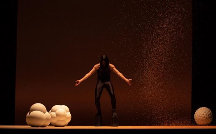 rootless root stones and bones