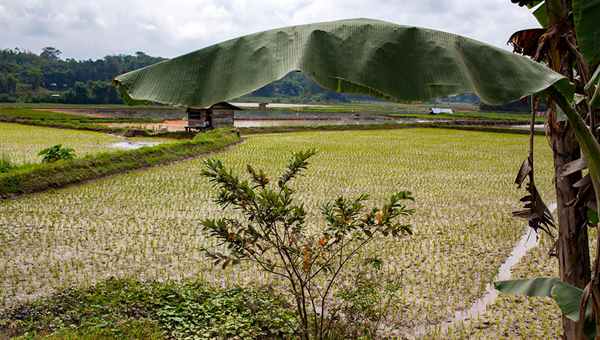 leda shantala to kalesma seminario xorotherapeias