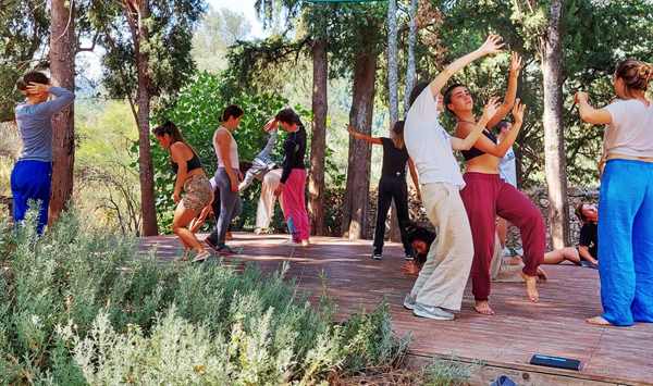 sonia dova seminario contact