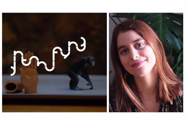 papadopoulou synaski seminario