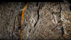 Εργαστήρι Contact improvisation/παράσταση στο καμένο φαράγγι της Μπουλοβίναινας