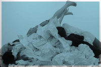 Εργαστήριο χορογραφίας και σκηνογραφίας με τους Πωλίνα Κρεμαστά και Ανδρέα Σκούρτη