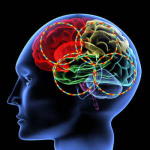 Έρευνα αποδεικνύει ότι μία εγκεφαλική ουσία καθοριζεί την χορευτική ικανότητα