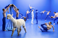 13ο Διεθνές Φεστιβάλ Ταινιών και Παραστάσεων Χορού Athens Video Dance Project