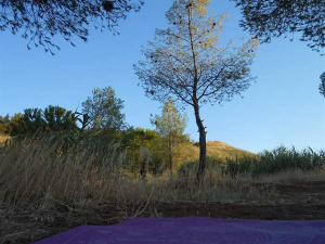 Περίπατος και Ενδυνάμωση στη Φύση με τη Μαίρη-Φώφη Ανέστου